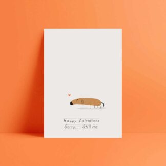 happy valantines. sorry.......still me